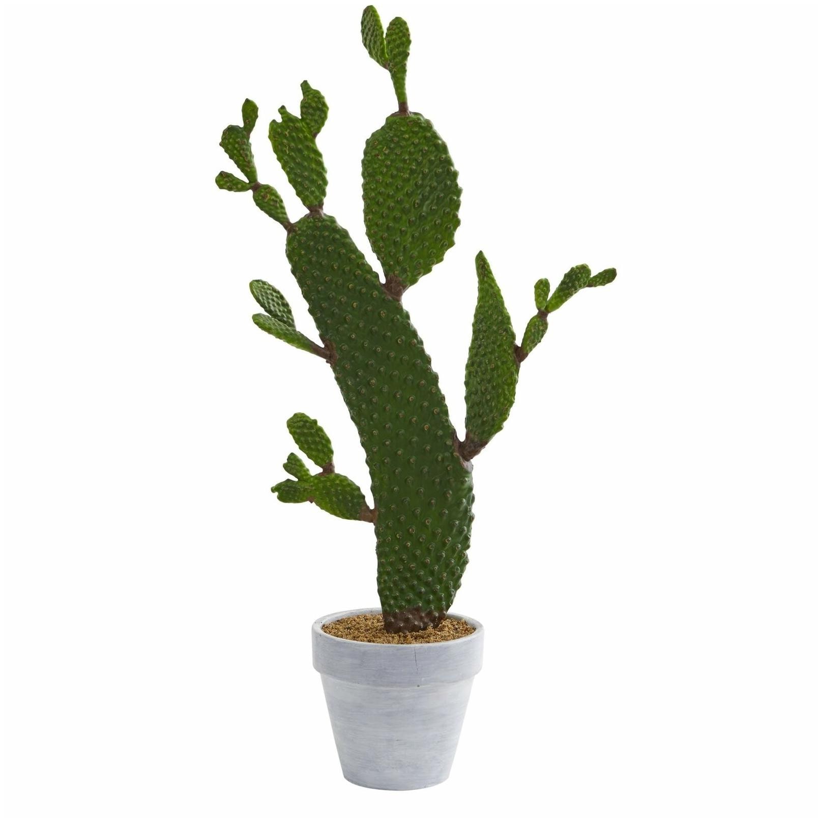 

27 Cactus Artificial Plant