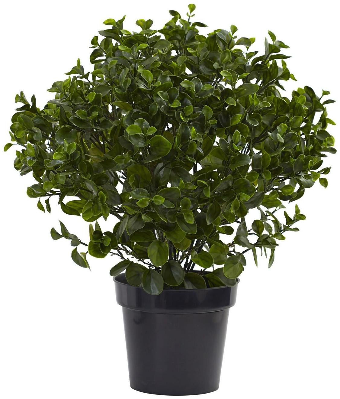 

28-inch Peperomia Plant UV Resistant (Indoor Outdoor)