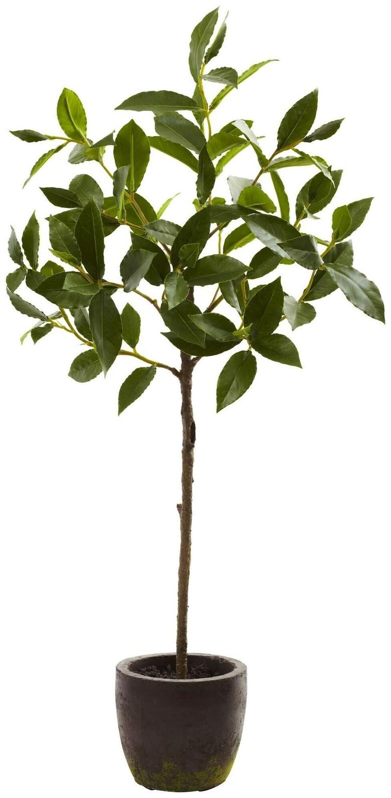 

29-inch Topiary with Decorative Planter