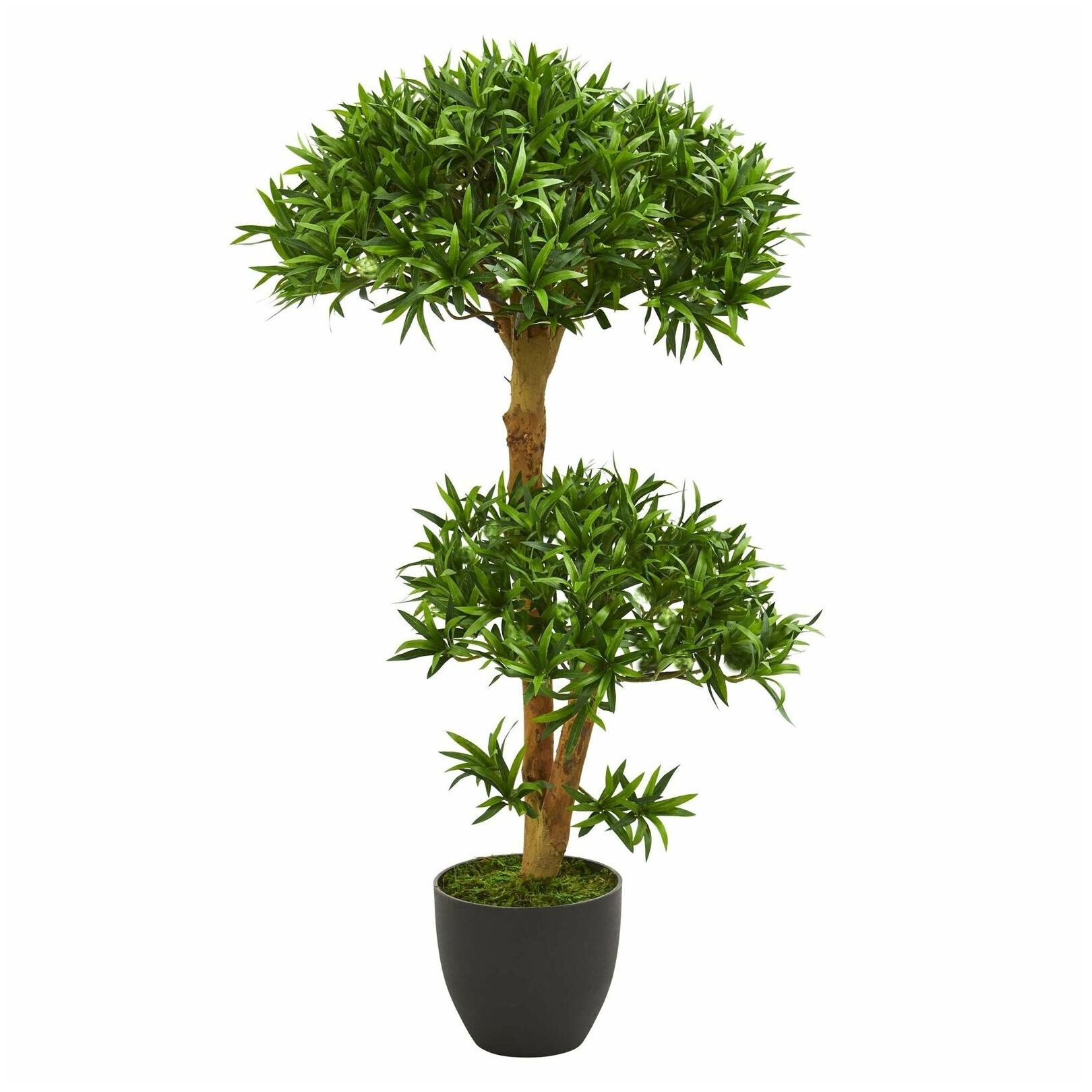 

3 Bonsai Styled Podocarpus Artificial Tree - h3 ft w15 h3 ft w15 in