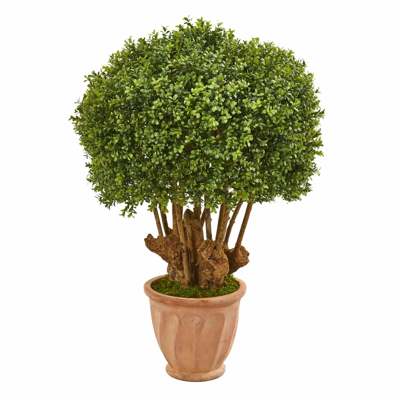 

39 Boxwood Artificial Topiary Tree in Terracotta Planter