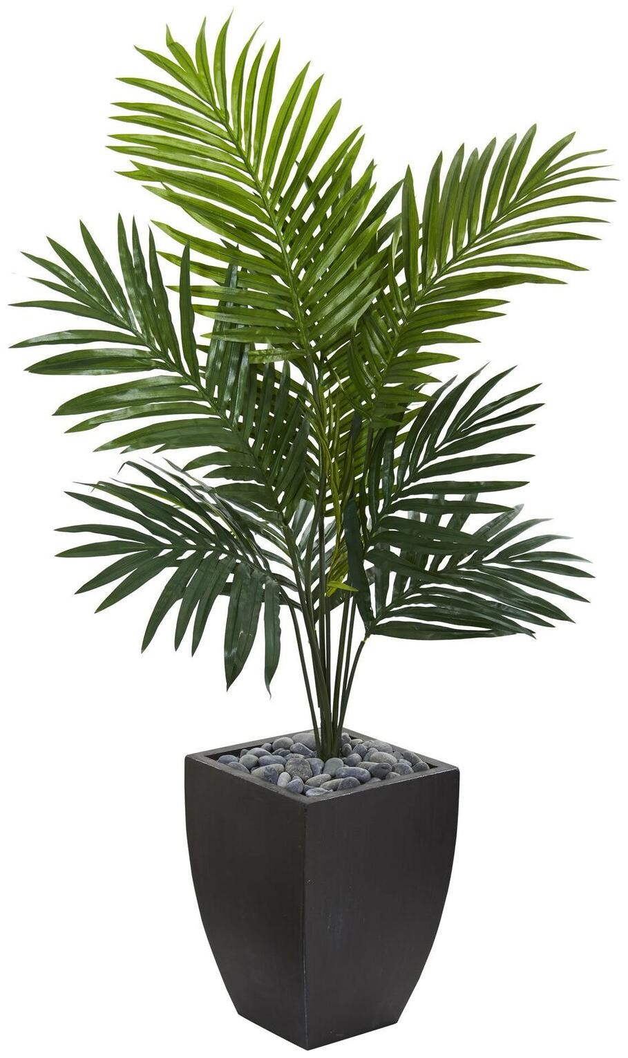 

4 5 Kentia Palm Artificial Tree in Black Wash Planter
