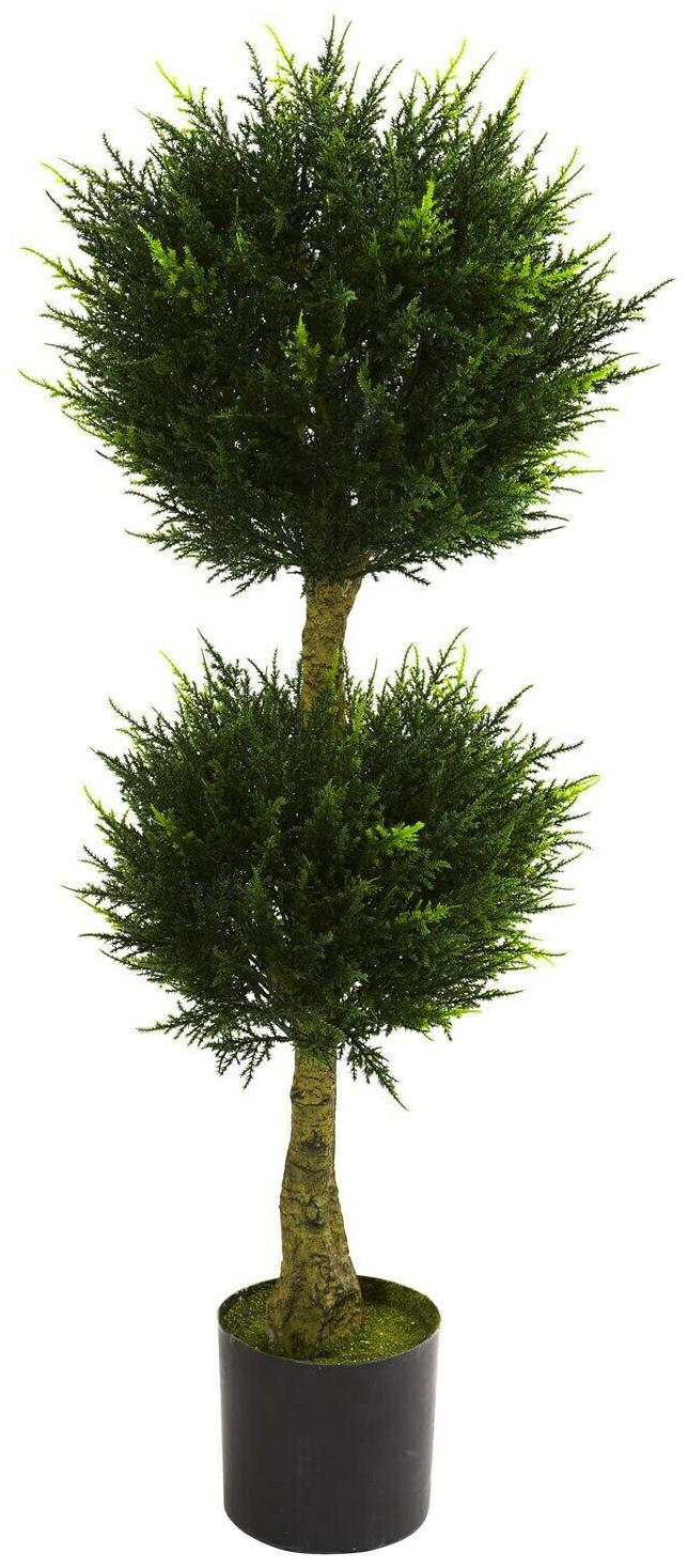 

4-foot Double Ball Cypress Topiary - Green Green 4