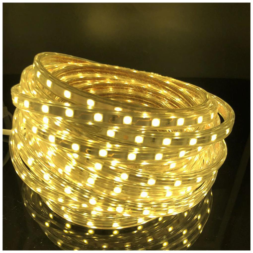 

40M warm white Color LED Strip light 5050 Flexible ledstrip 220V Waterproof Ribbon Living Room Kitchen outdoor power plug