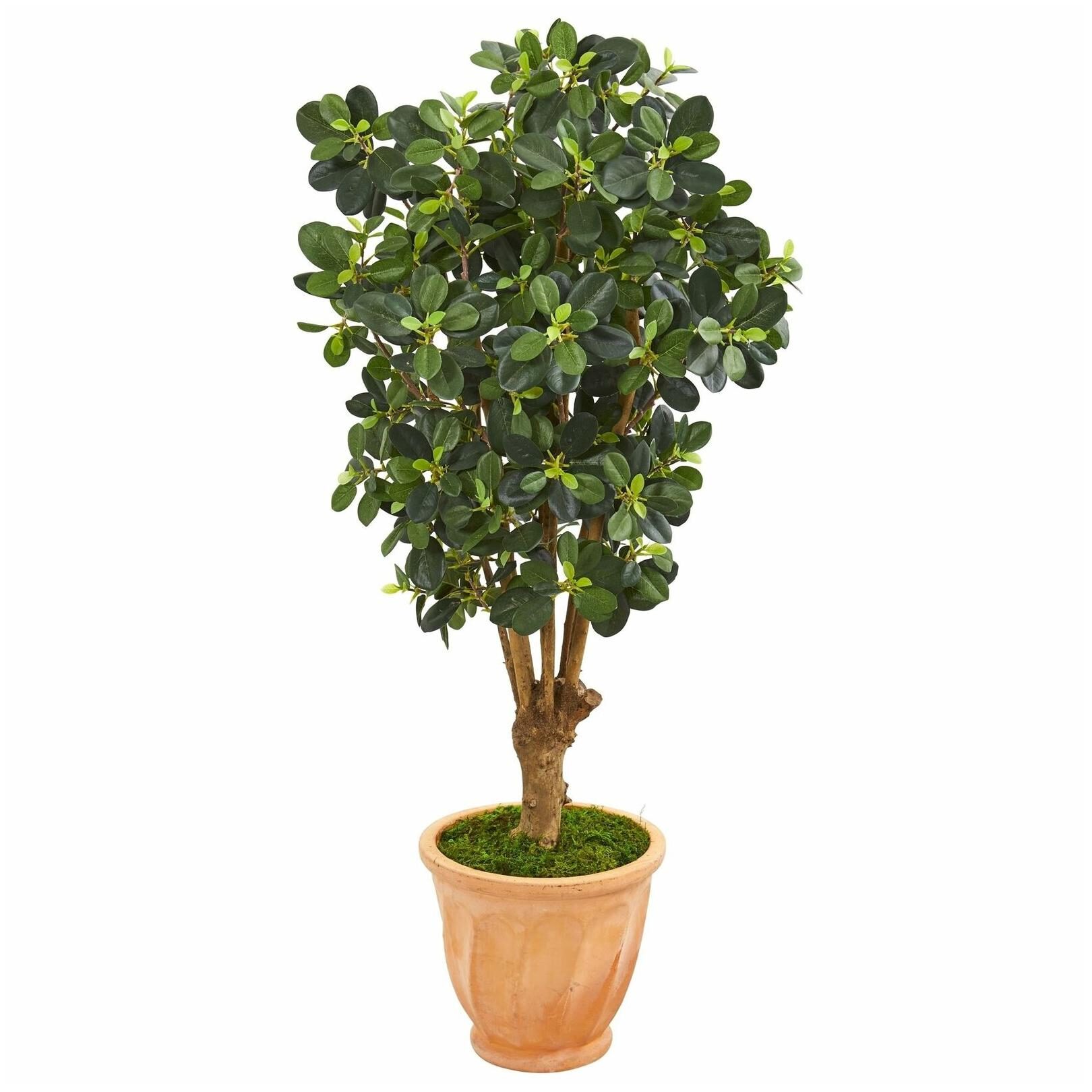 

46 Panda Ficus Artificial Tree in Terra-Cotta Planter