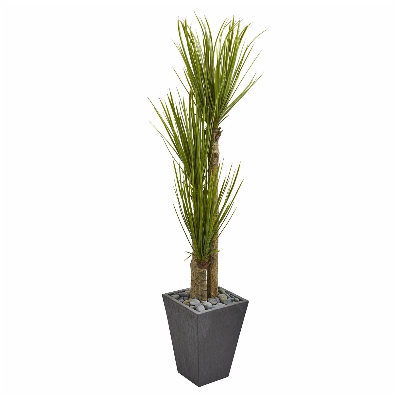 

5 5 Triple Stalk Yucca Artificial Plant in Slate Planter