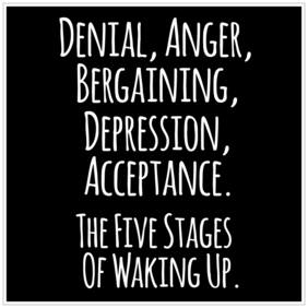 5 Ace Denial;Anger Quote Paper Poster