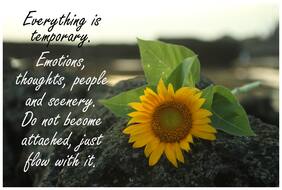 5 Ace Everything Is Temporary Wall Sticker Paper Poster