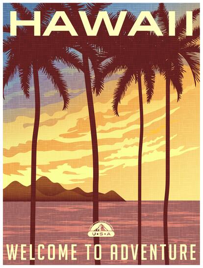 5 Ace Matte Hawaii wall poster