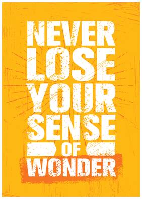 5 Ace Nevere Lose Your Sense Motivational,Office Quotes Inspirational Paper Poster