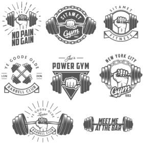 5 Ace Power Gym Quotation Wall Sticker Paper Poster Quotation Assorted Paper Set Of 1