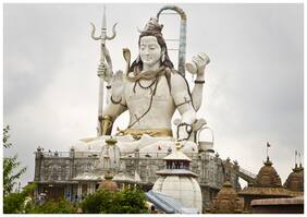 5 Ace Shivji Wall Sticker Poster