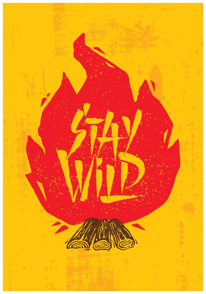 https://assetscdn1.paytm.com/images/catalog/product/H/HO/HOM5-ACE-STAY-WUDCR545594A62BCCC6/1565063687201_0..png