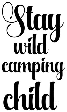 5 Ace Stay Wild Campiny Posters