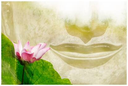 5 Ace The Mouth Buddha Lotus Wall Sticker Paper Poster