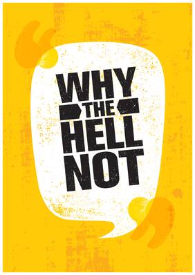 5 Ace Why The Hell Not Paper Poster