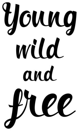 5 Ace Young Wild Posters