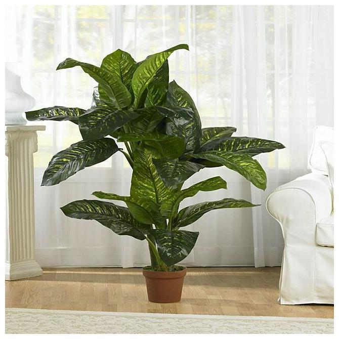 

5 Dieffenbachia Silk Plant (Real Touch) Green