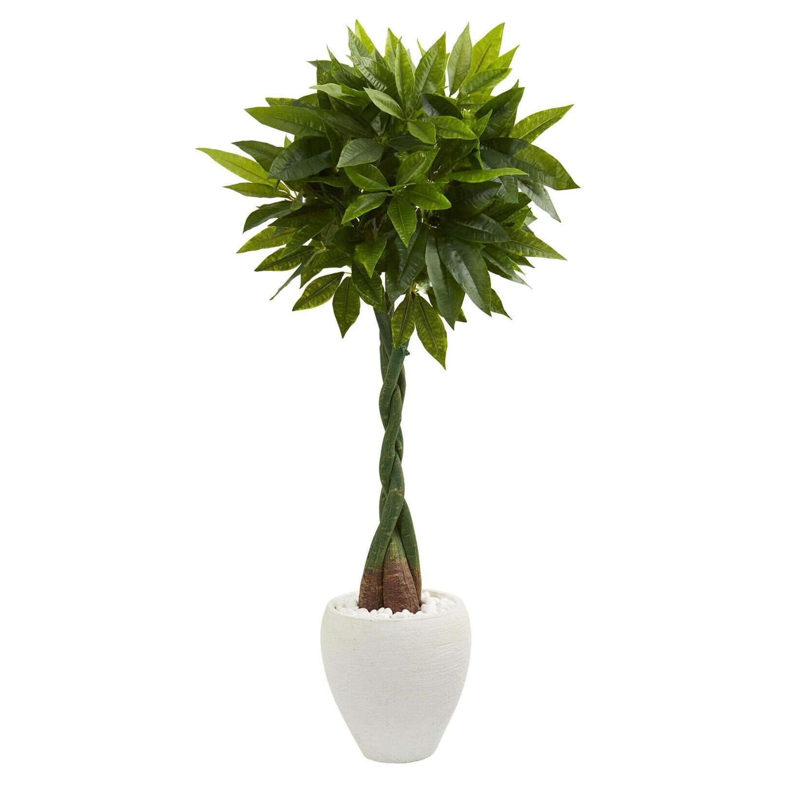 

5 Money Artificial Tree in White Oval Planter (Real Touch)