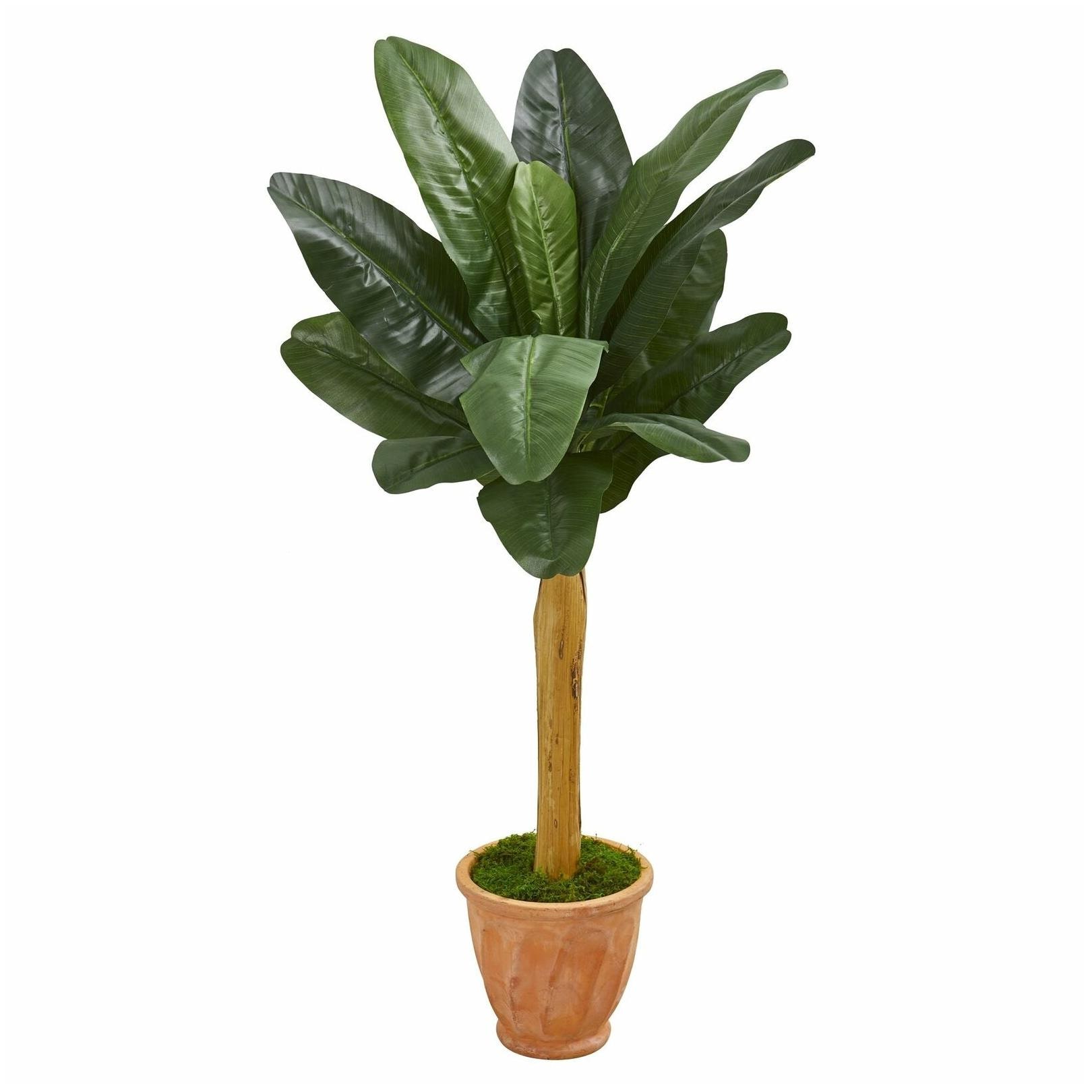 

57 Banana Artificial Tree in Terra Cotta Planter