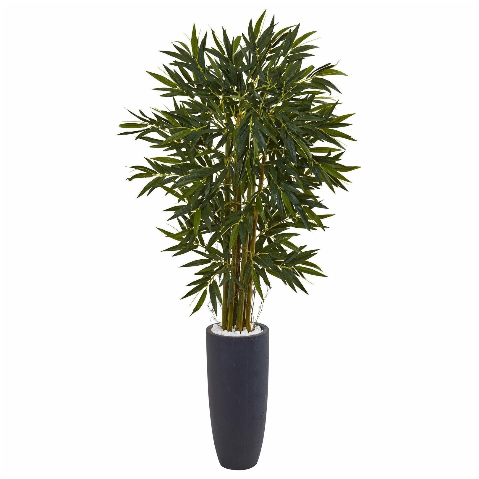 

6 5-foot Bamboo Tree in Grey Cylinder Planter