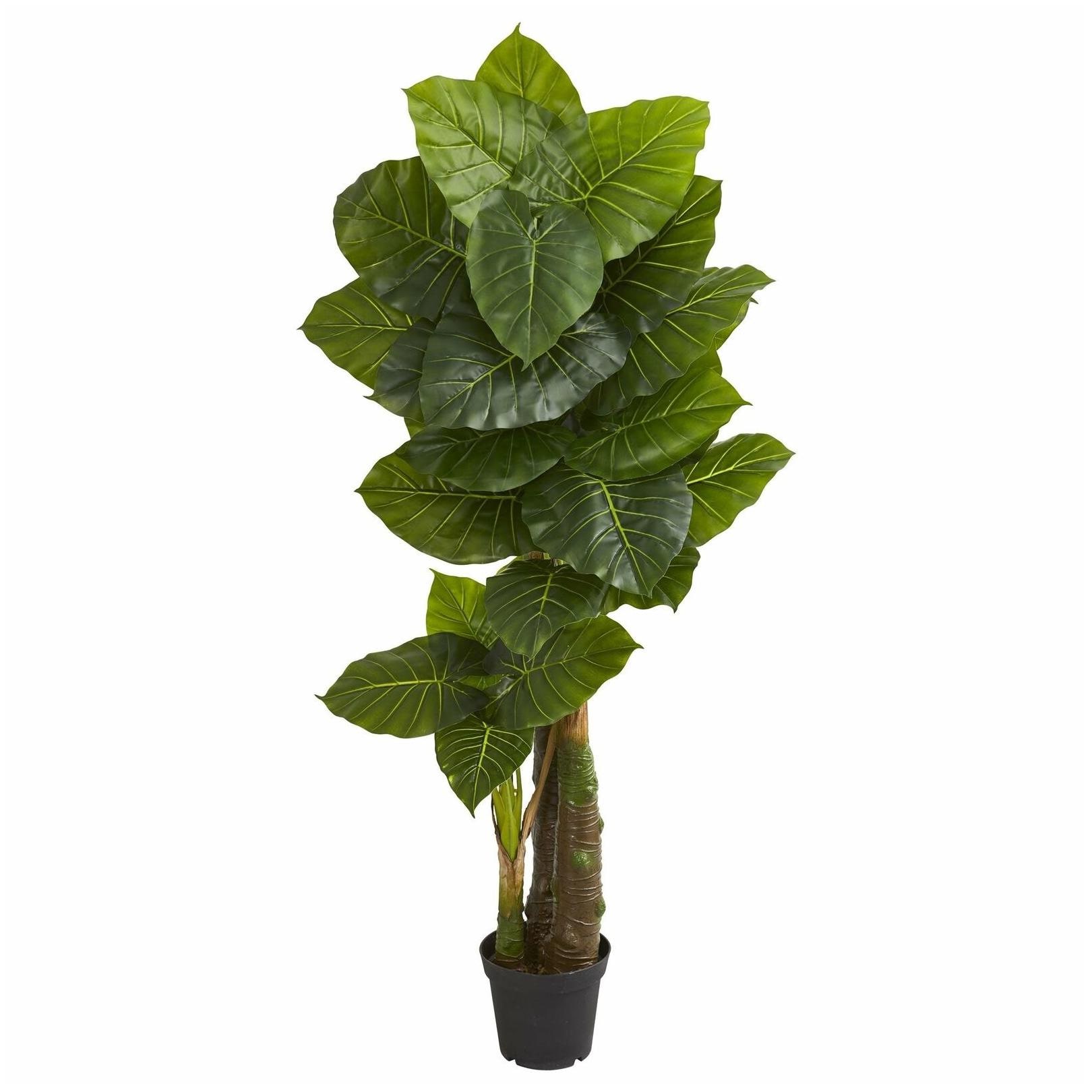 

6 5 Taro Artificial Tree - h6 5 ft w10 in d10 in h6 5 ft w10 in