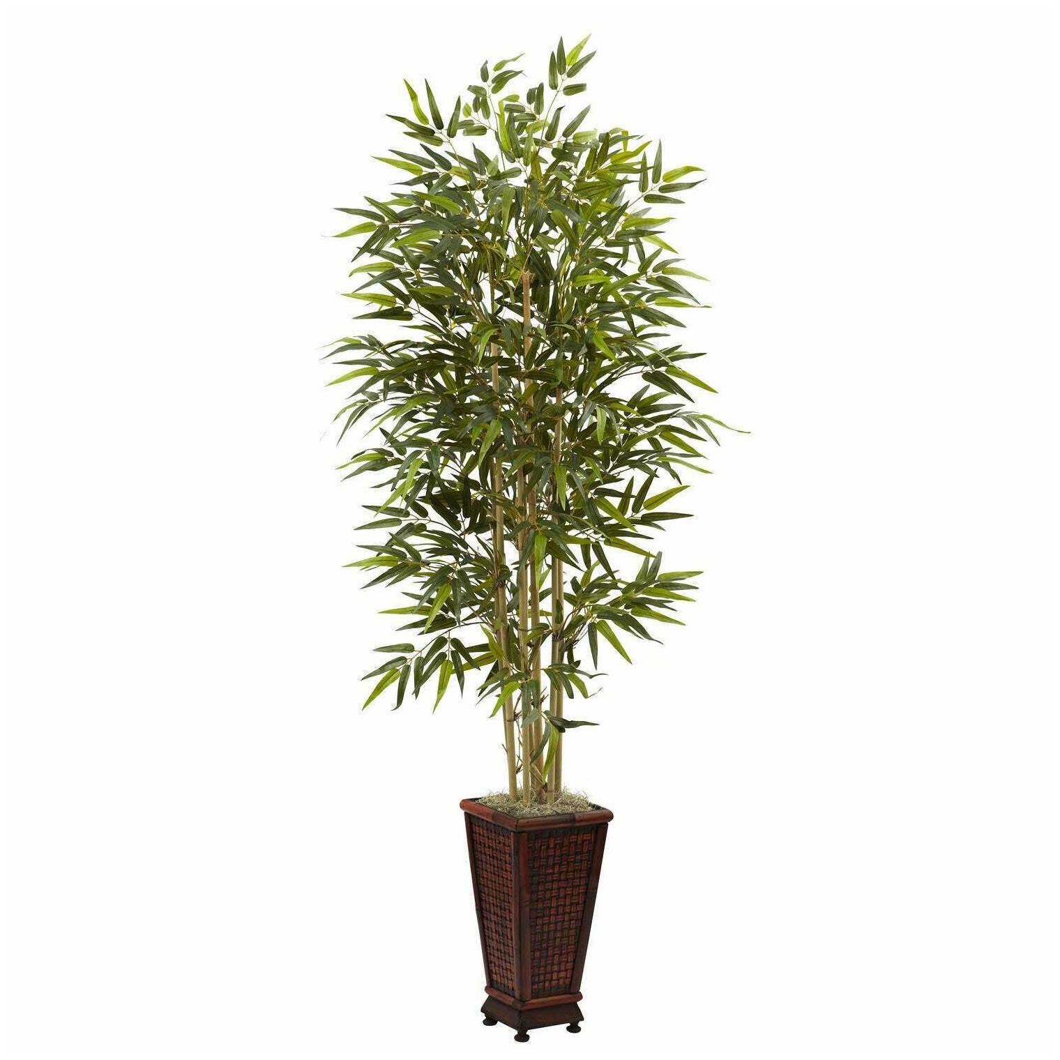 

6-foot Bamboo Tree with Decorative Planter - Green Green Medium