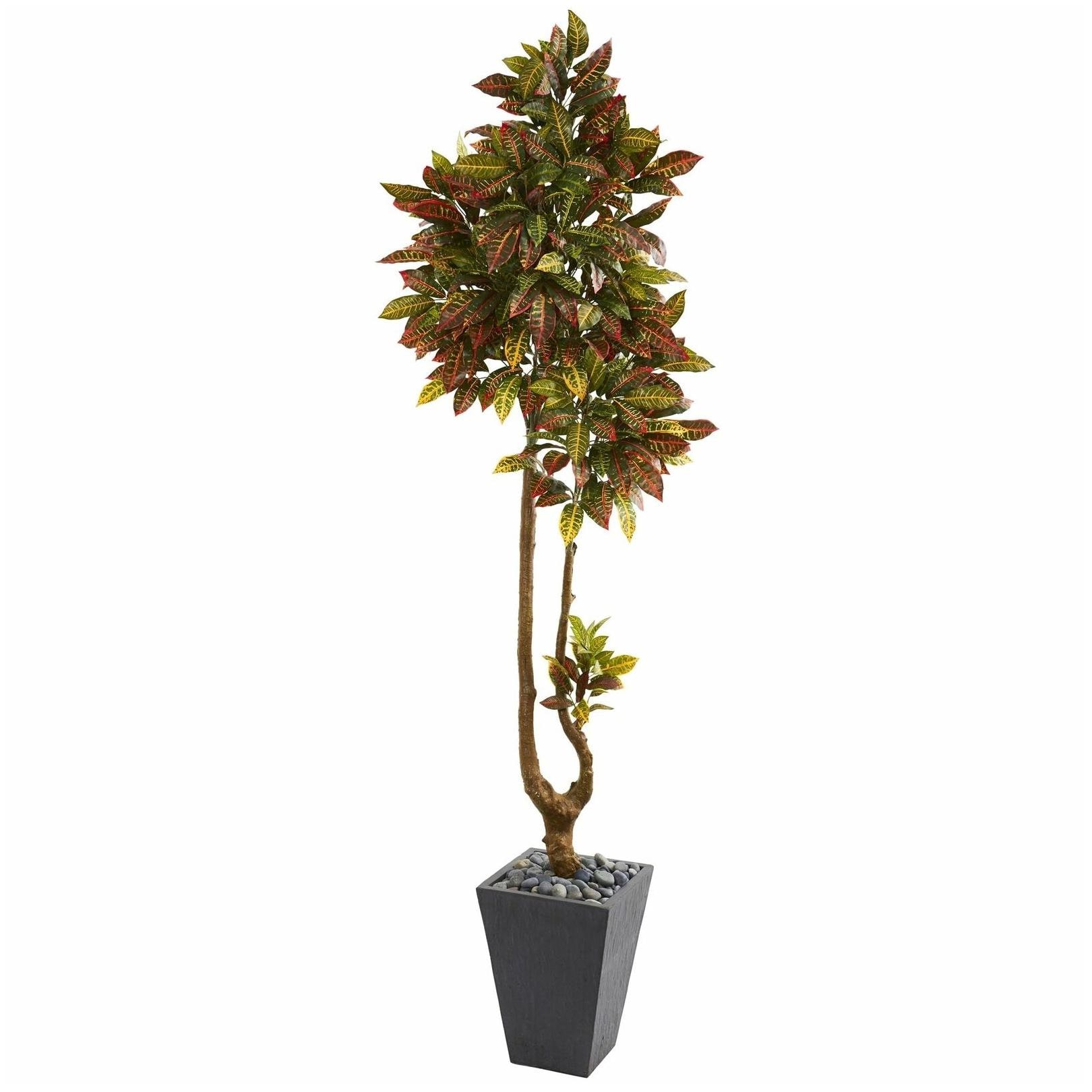 

70 Croton Artificial Tree in Slate Planter