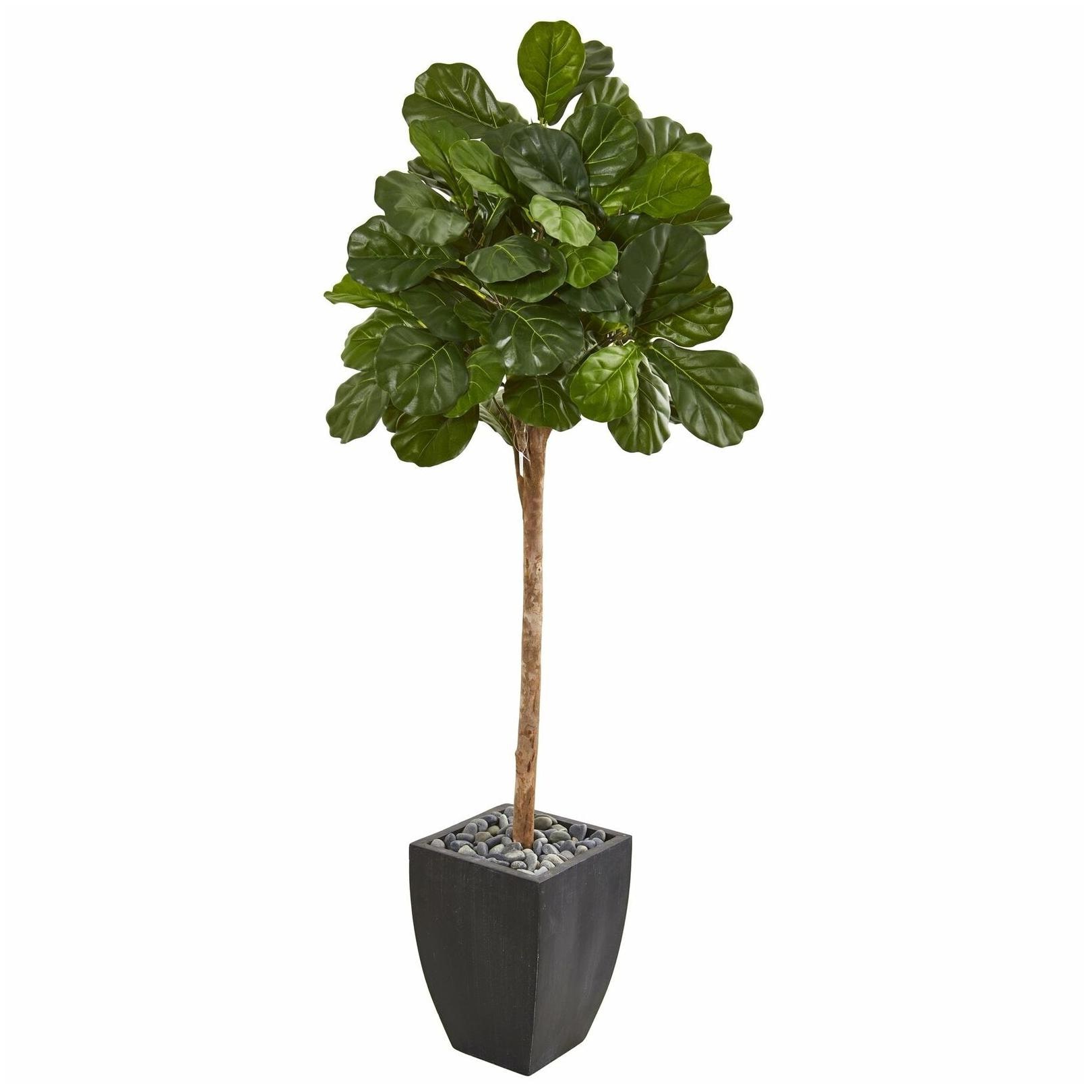

71 Fiddle Leaf Fig Artificial Tree in Black Planter