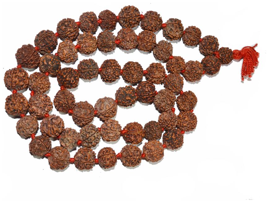 

Agarwal Rudraksha Natural 5 Face Rudraksha Mala