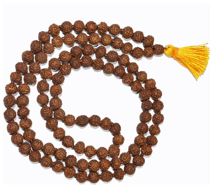

Agarwal Rudraksha Natural 5 Face Pathri Rudraksha Mala