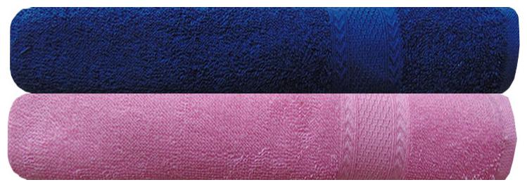 

Akin 450 GSM Cotton Bath Towel ( 2 Pieces Blue )