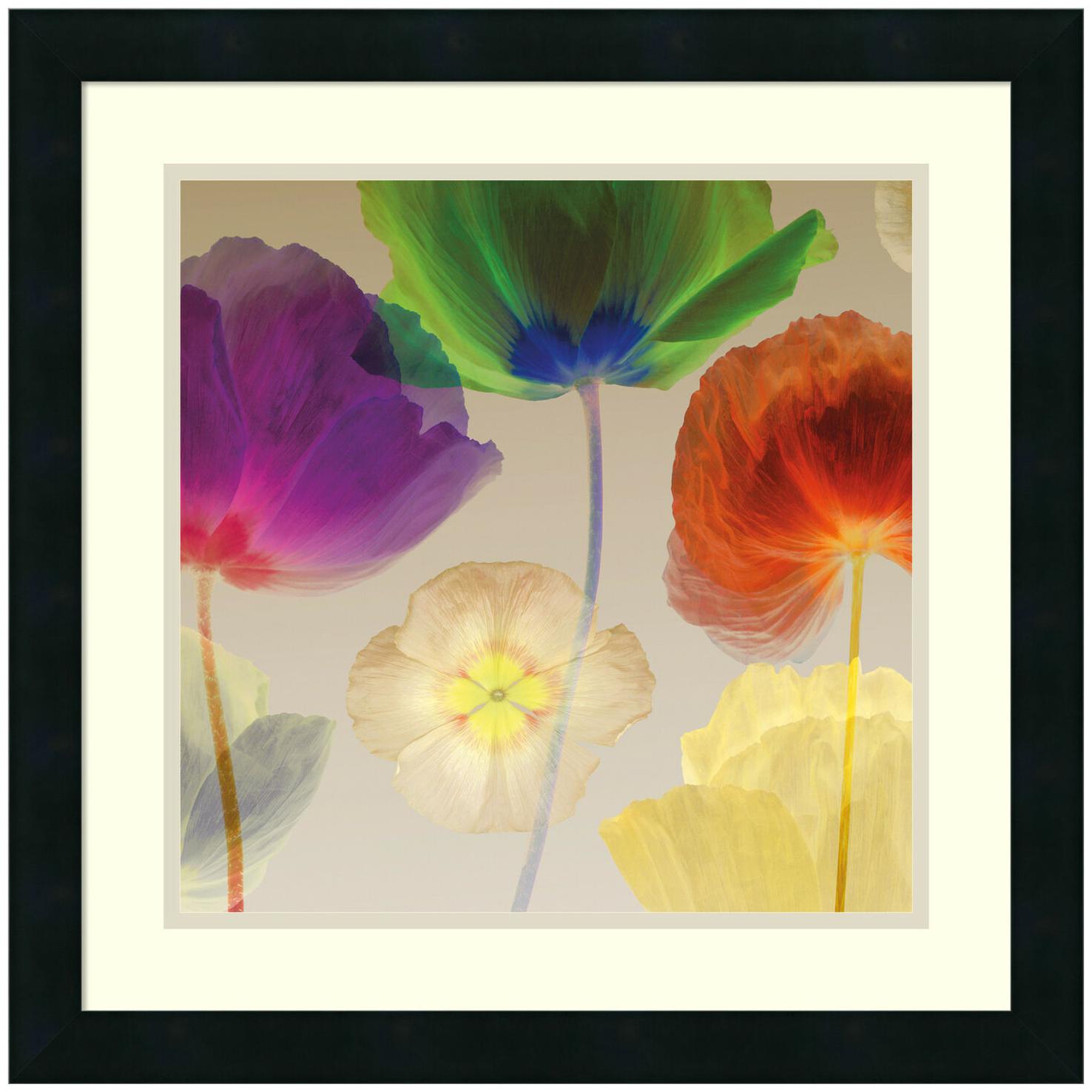 

Amanti Art DSW986949 20-1 4 Inch x 20-1 4 Inch Poppy Panorama I