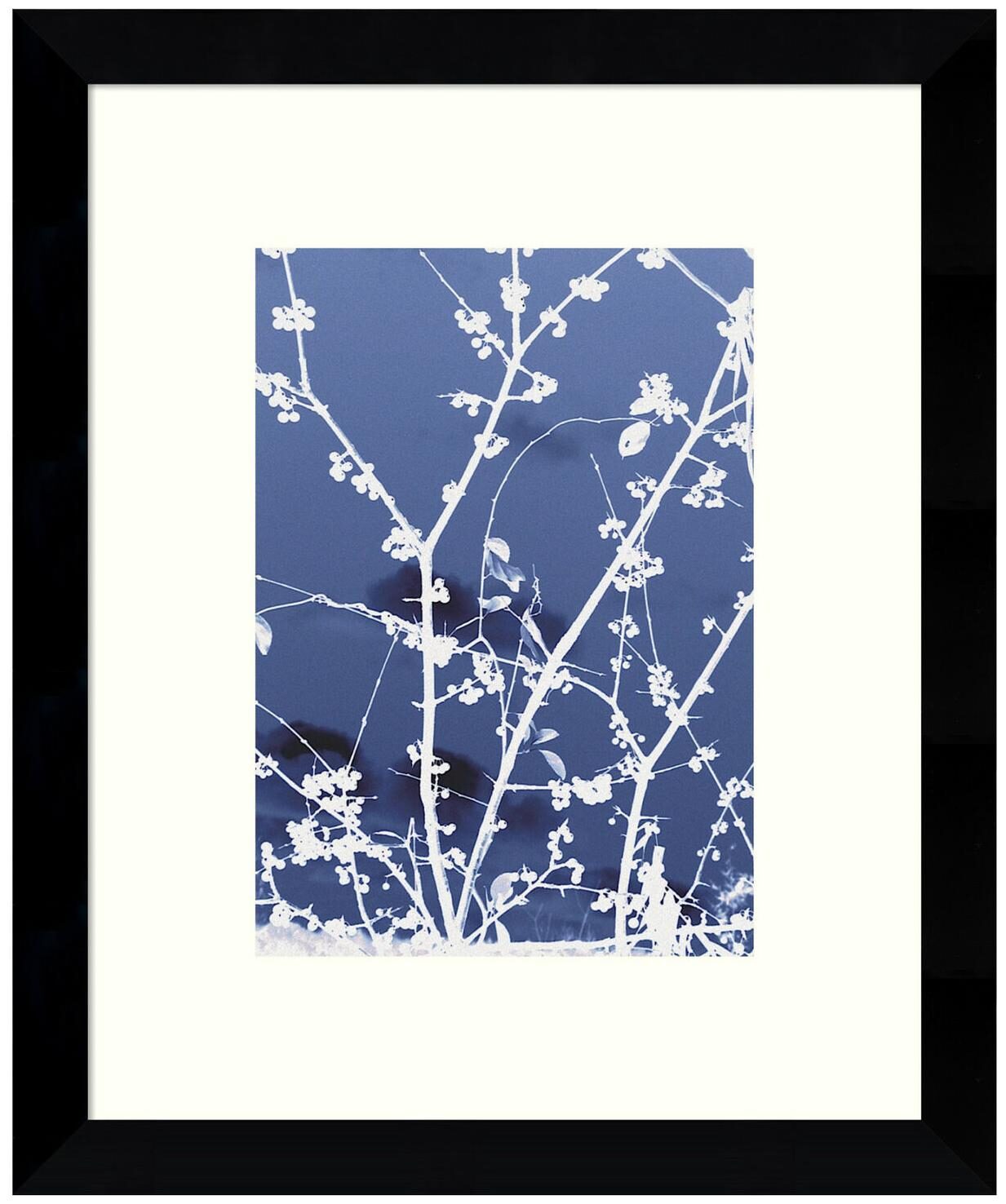 

Amanti Art DSW3422488 10-7 8 Inch x 8-7 8 Inch Autumn Branch