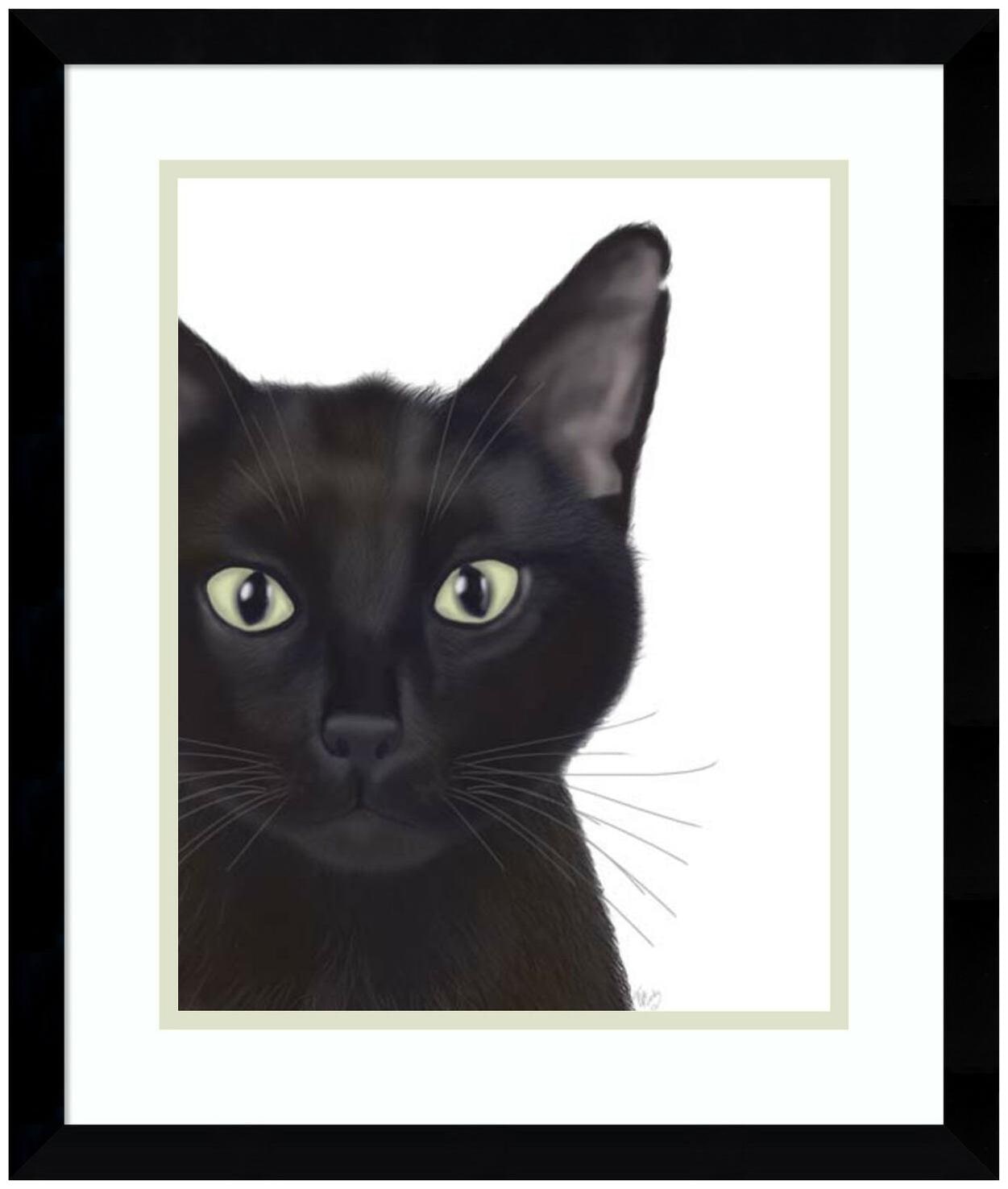 

Amanti Art DSW3944996 19-3 8 Inch x 16-3 8 Inch Cat
