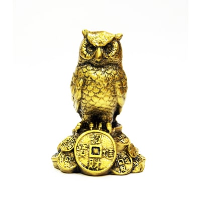

Amjalika Feng Shui Owl A Symbol Of Wisdom And Protection From Evil