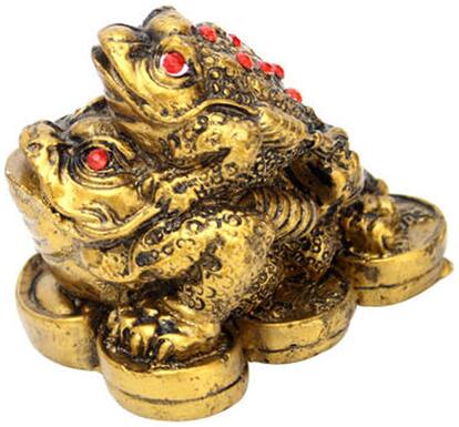 Anjalika Feng Shui Double Money Frog