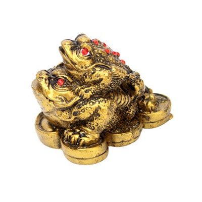 

Anjalika Feng Shui Double Money Frog