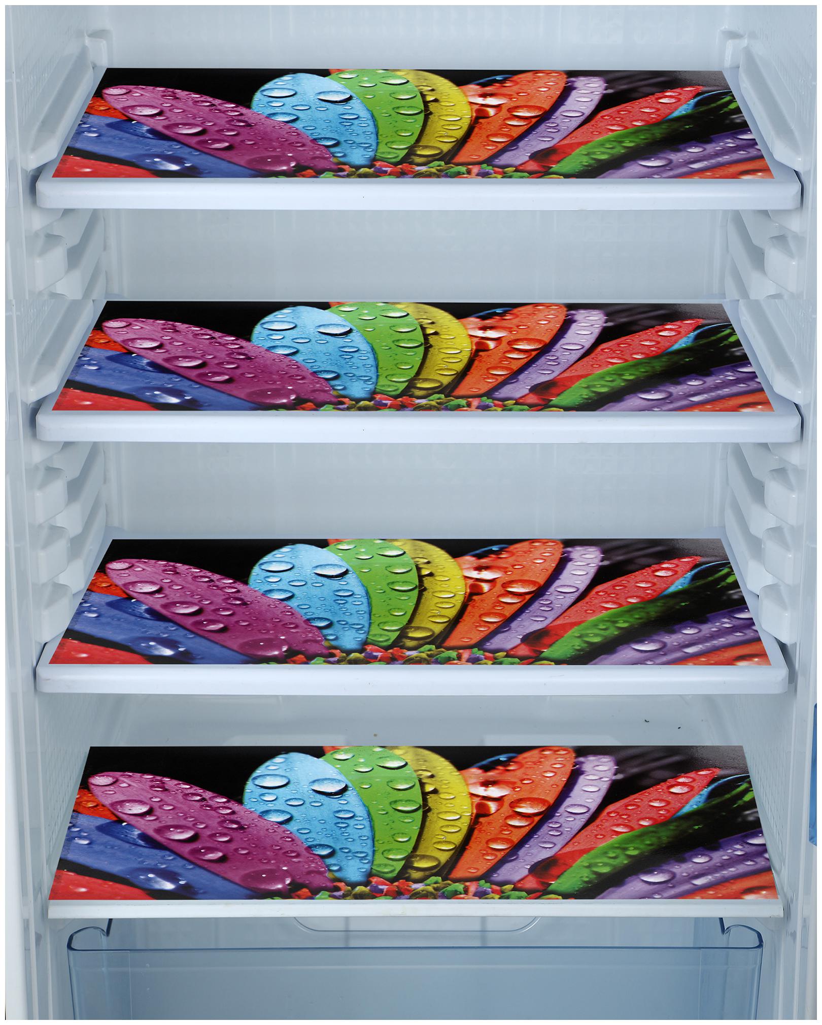 

ARADENT Multipurpose Refrigerator Mats Set of 4 Pcs for Single Door Fridge (Size 12X17 Inches Color Multicolor)