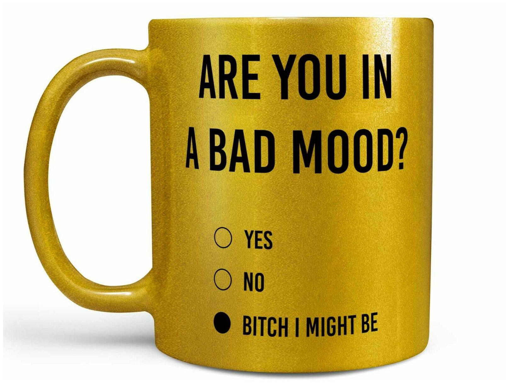 

Are You in a Bad Mood B tch I Might Be Coffee Mug Funny Coffee Mug or Cup Gift