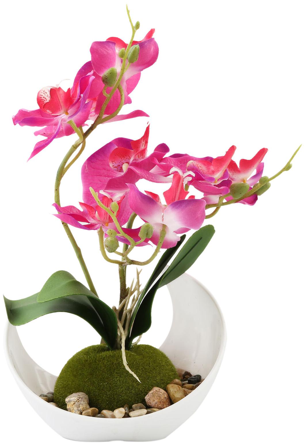 

Artificial Flower Decoration Synthetic Orchids w Sleek Curved Planter Pink
