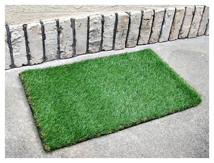 

Artificial Grass Door Mat Green (Size 16 inch x 24 inch Full size)