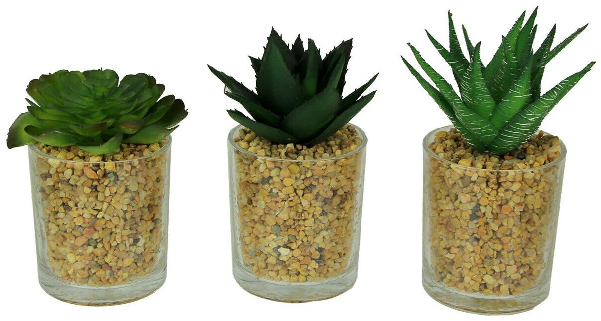 

Artificial Succulent Plants in Glass Planter Mini Potted Gravel Garden Set of 3