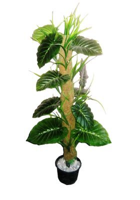 

Loxiaa Artificial Money plant Tree (size 3 ft 91 44 cm (36 inch))without pot