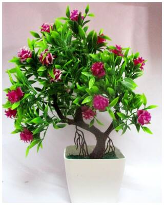 40 Best Collections Bonsai Flower Plants Online India Tasya Barcode Scanner