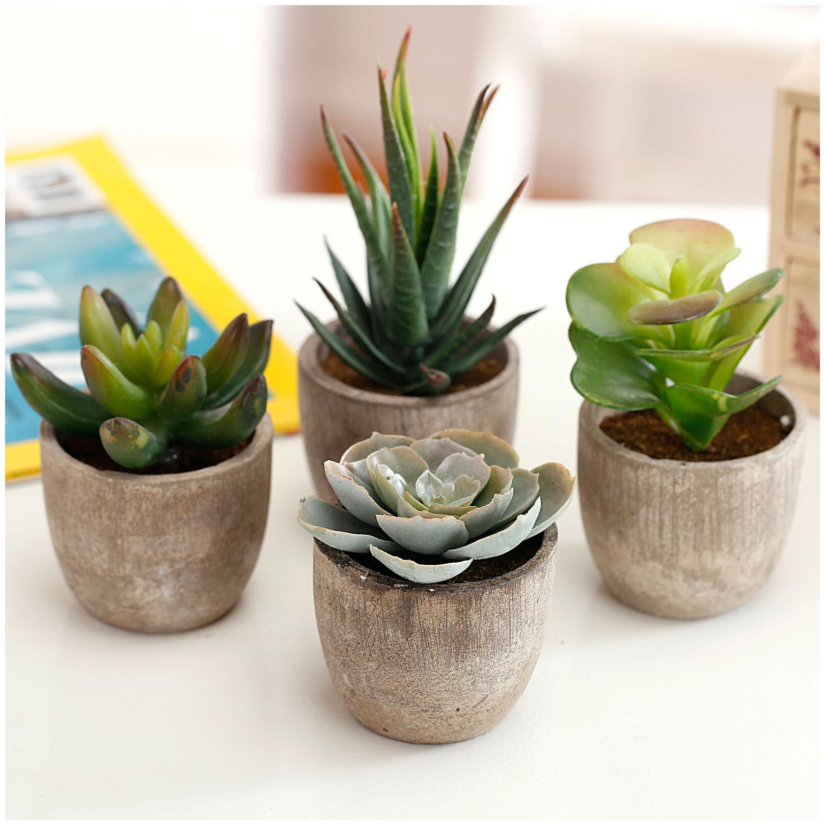 

Assorted Decorative Artificial Succulent Plants with Gray Pots Set of 4