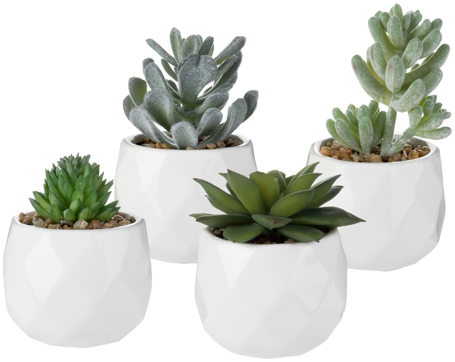 

Assorted Realistic Succulent Plants in Modern Geometric Ceramic Pots Set of 4