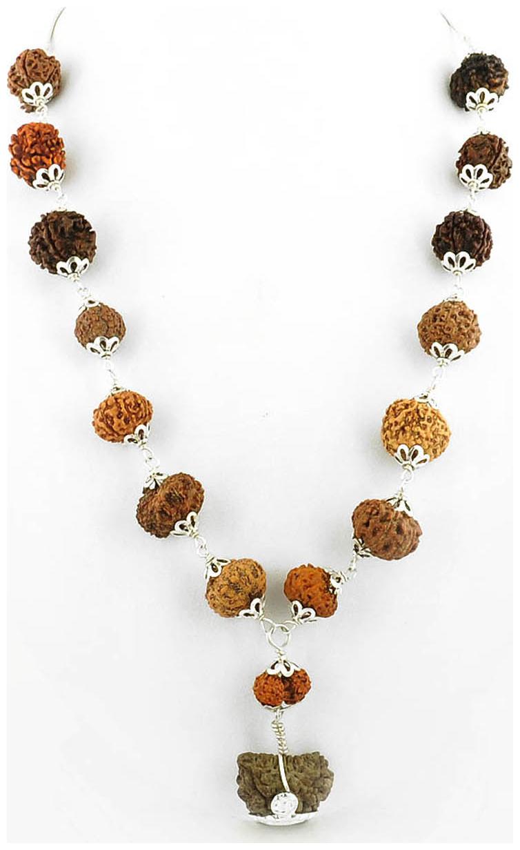 

Avaatar 1 To 14 Mukhi Certified Rudraksha Mala