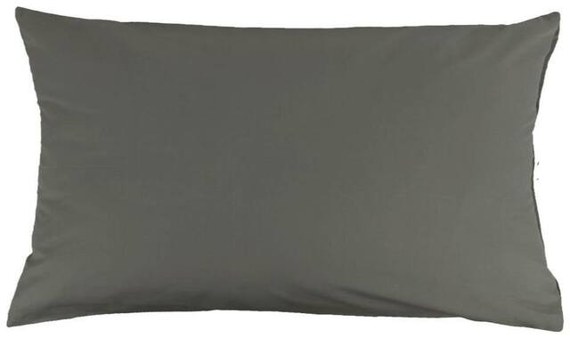 AVI Poly cotton Regular Pillow protector