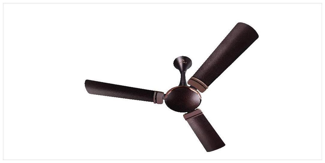 

Bajaj Elegance Royale Anti-Germ Bbd 1200 Mm Ceiling Fan (Chocolate Brown)